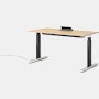 Renew S2S Embedded Power Desk - Standard,  29 x 58,  Veneer White Ash,  Graphite Satin / Polished Aluminum,  Integrated Cord Management,  Hidden Power,  Standard,  T Leg
