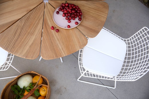 Petal Dining Table Bertoia Side Chair