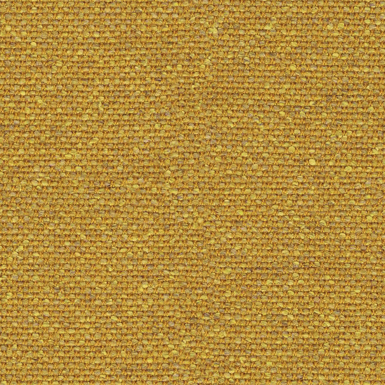 Arabia