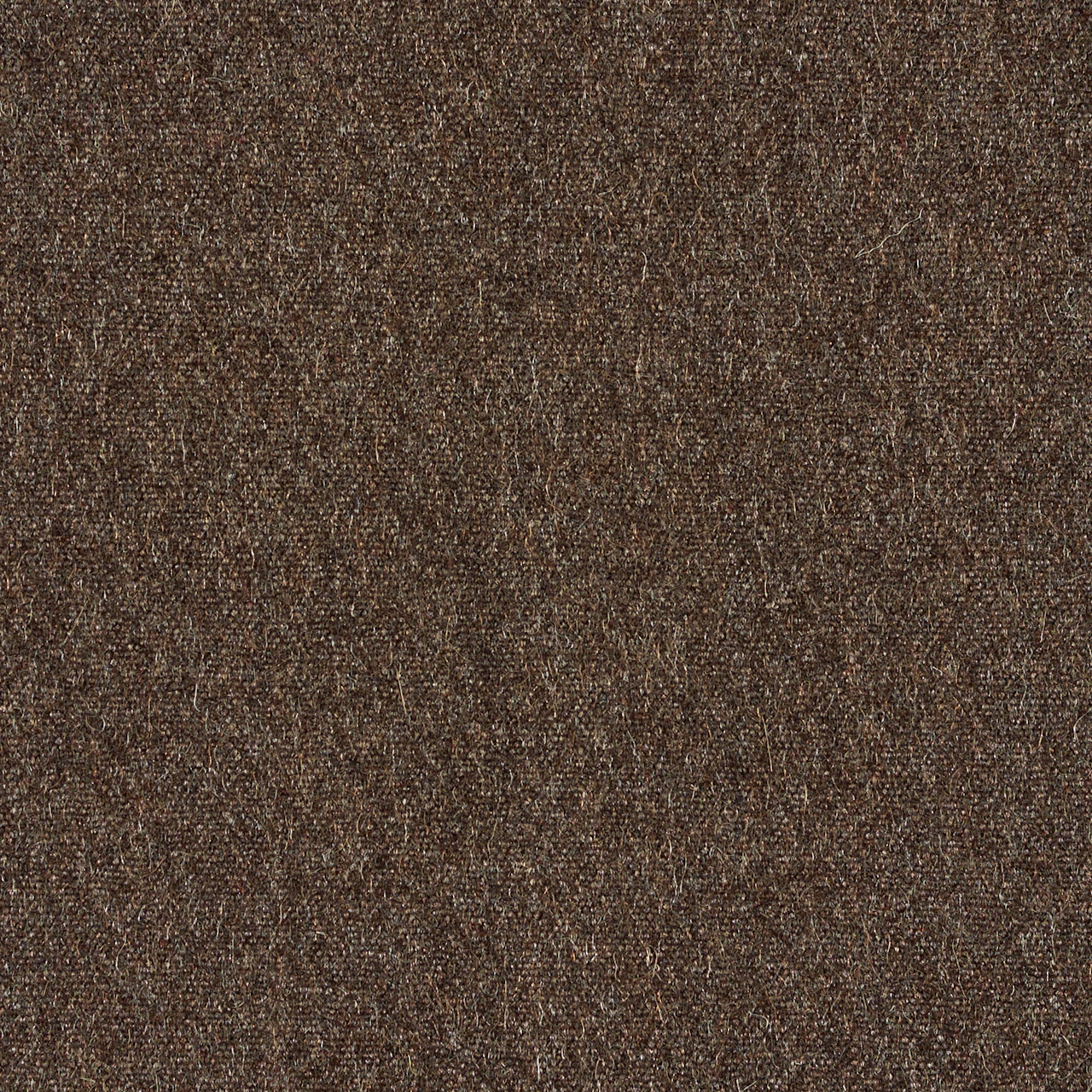 Umber