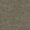 Pumice