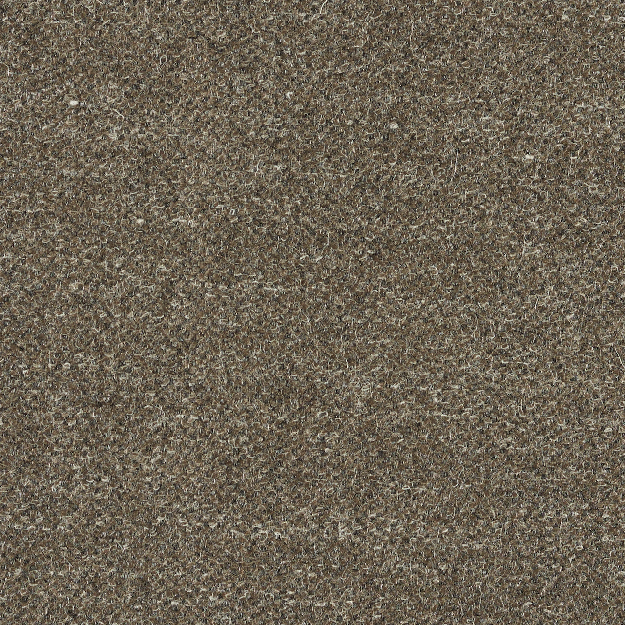 Pumice