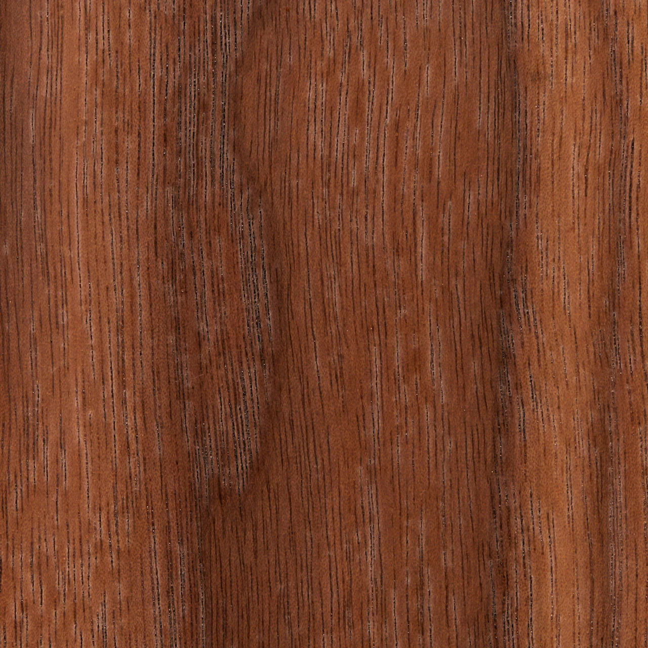 Lacquered Walnut