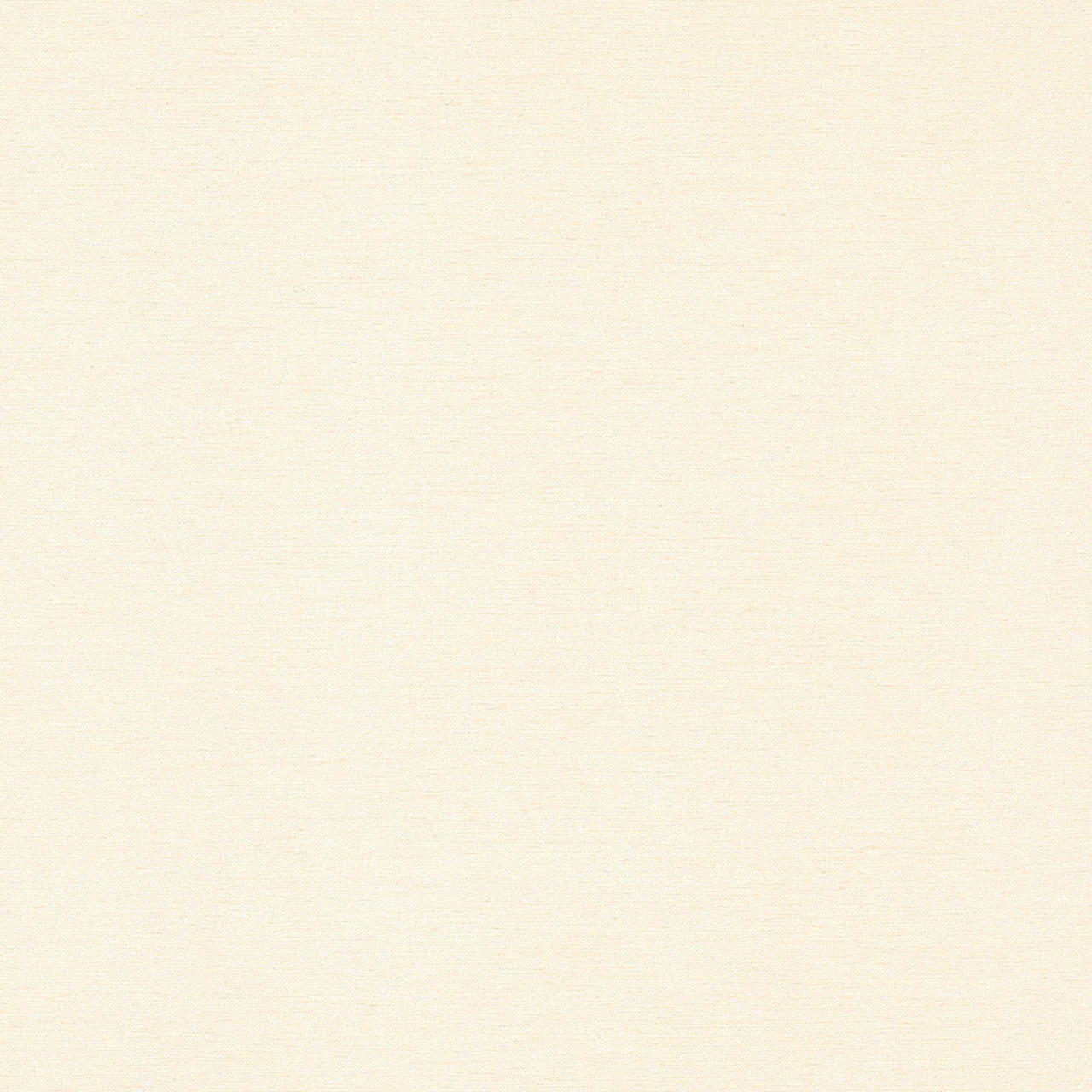 Rice Paper