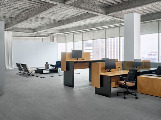 Dividends Skyline System Height-Adjustable Table Screens Ollo with Knit Back Barcelona Chair D