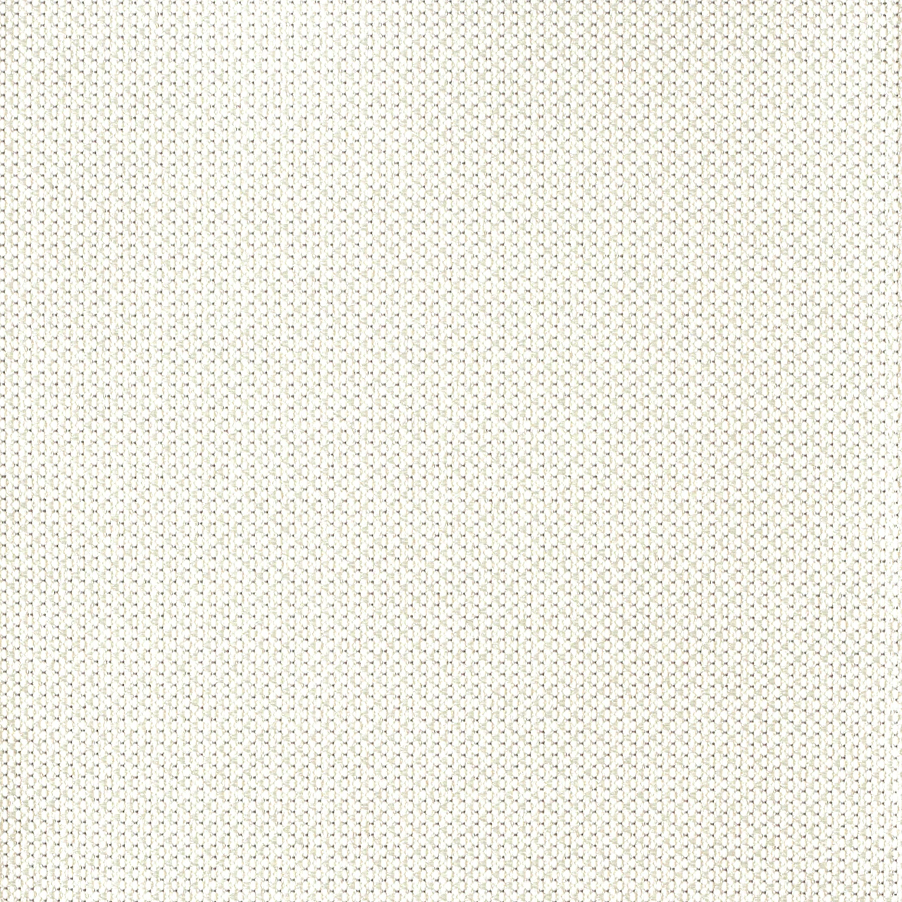 Summer White