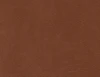 Arabica