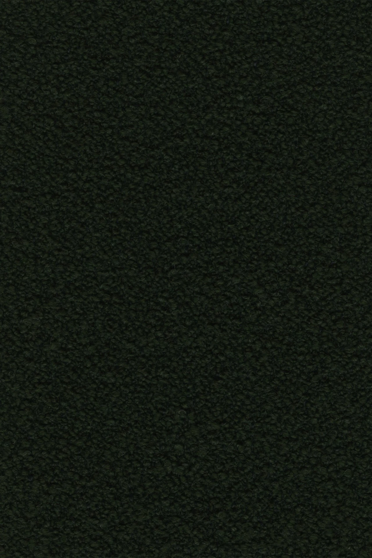 Fir