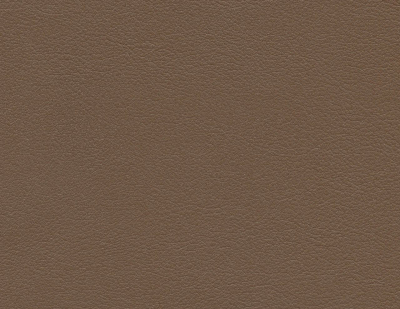 Grey Beige
