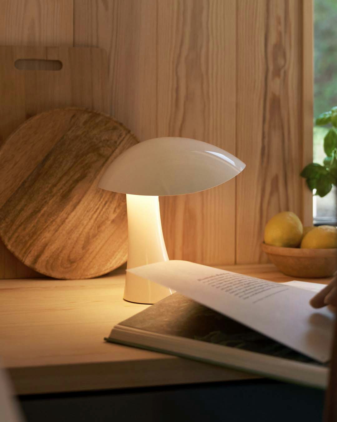 Rumee 220 Portable Lamp