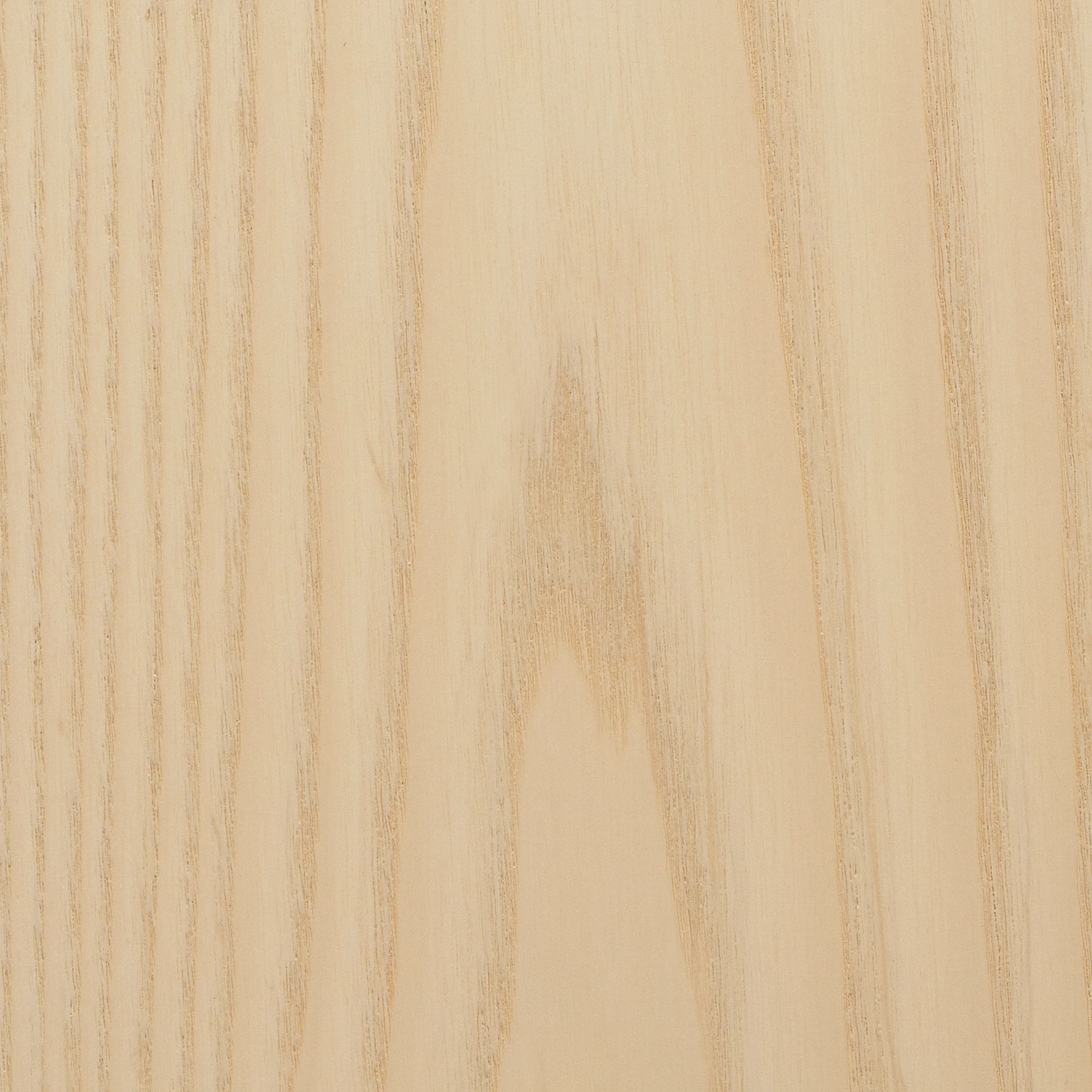 White Ash
