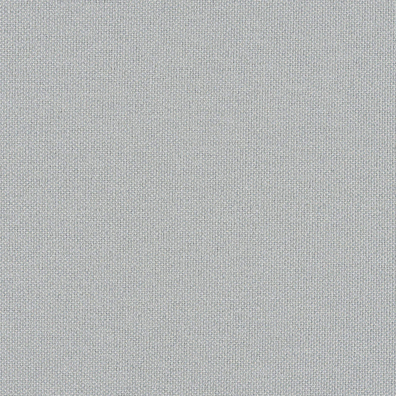 Silver Pine