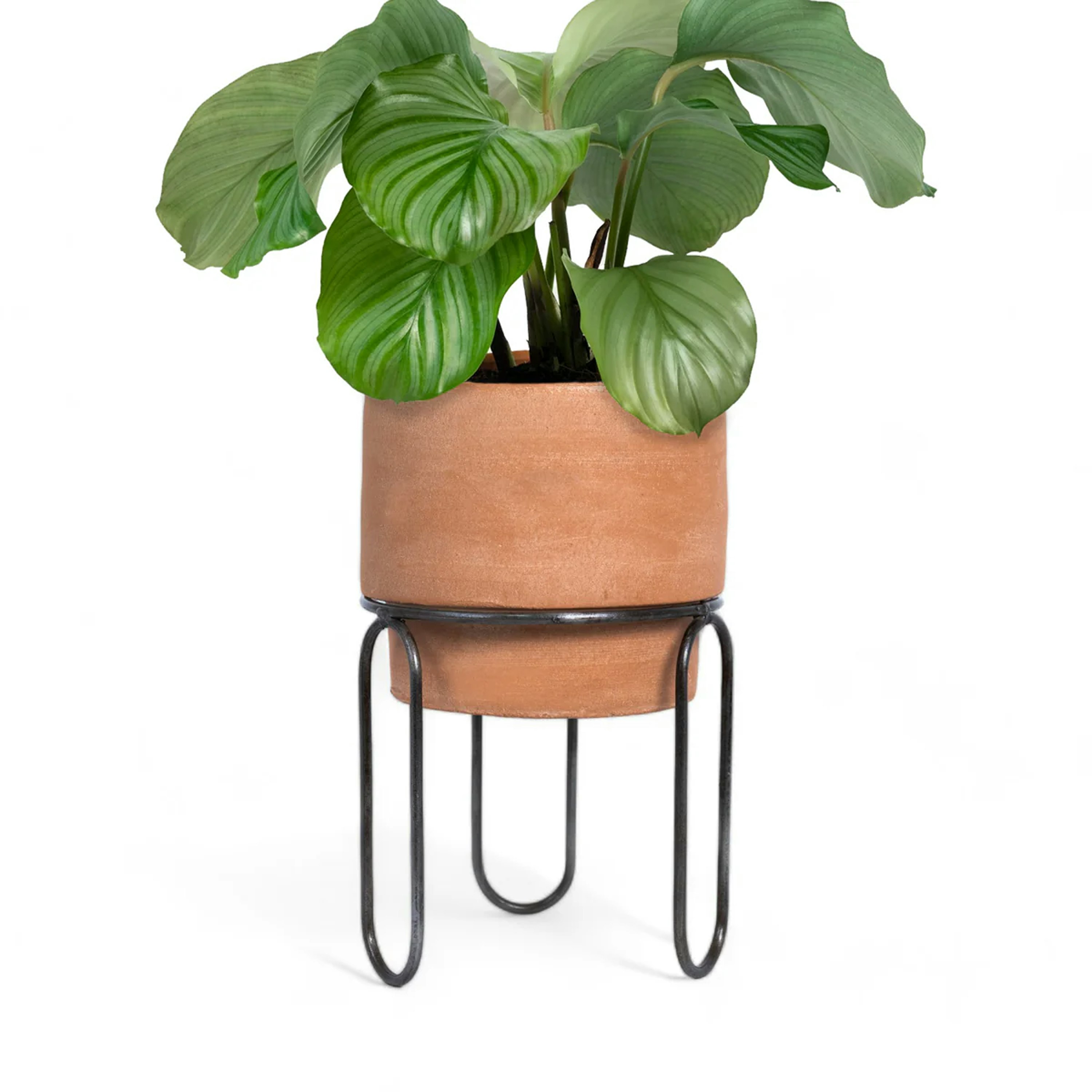 Jaro Terracotta Planter - Medium