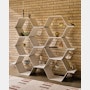 Honeycomb Modular Shelving