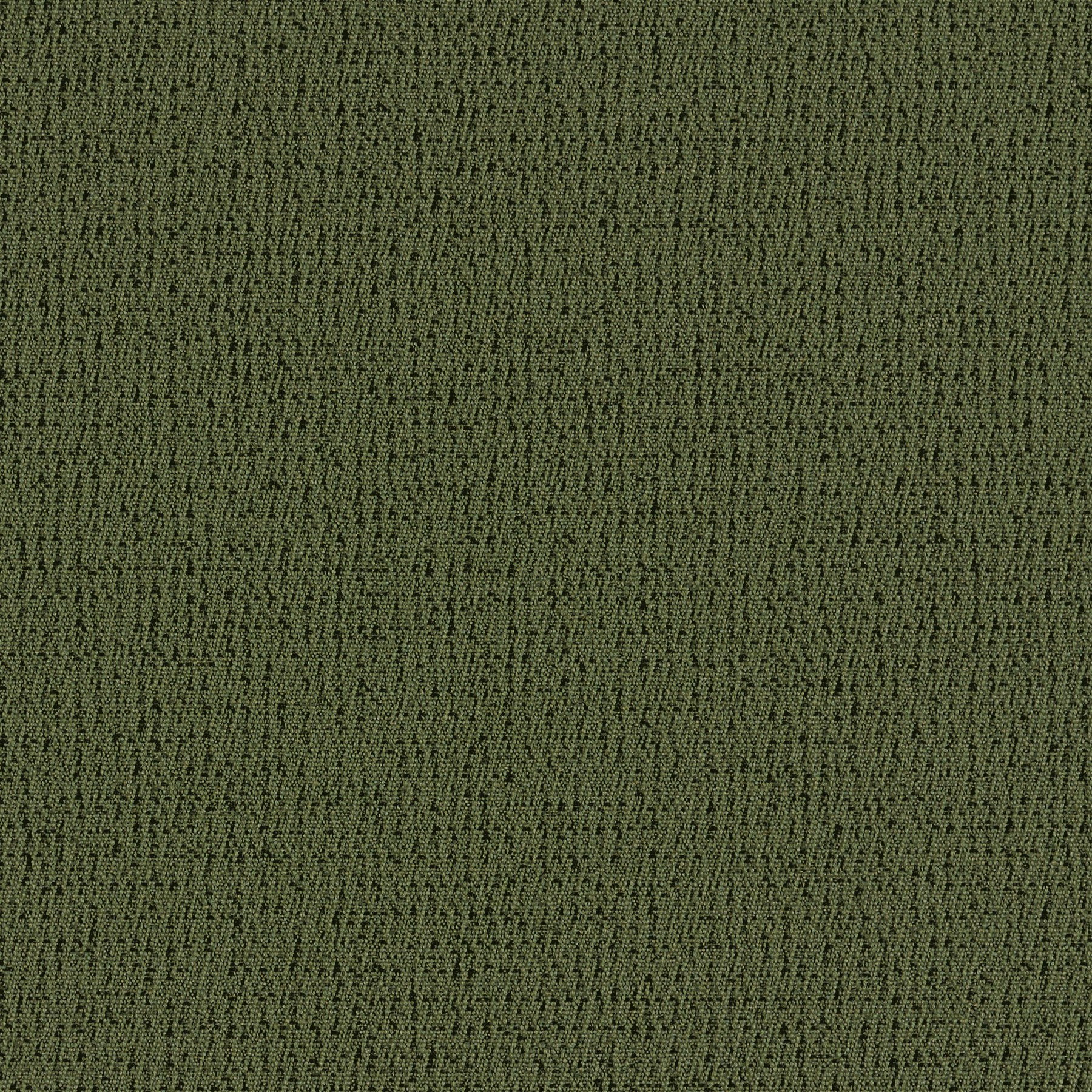 Scatter Olive