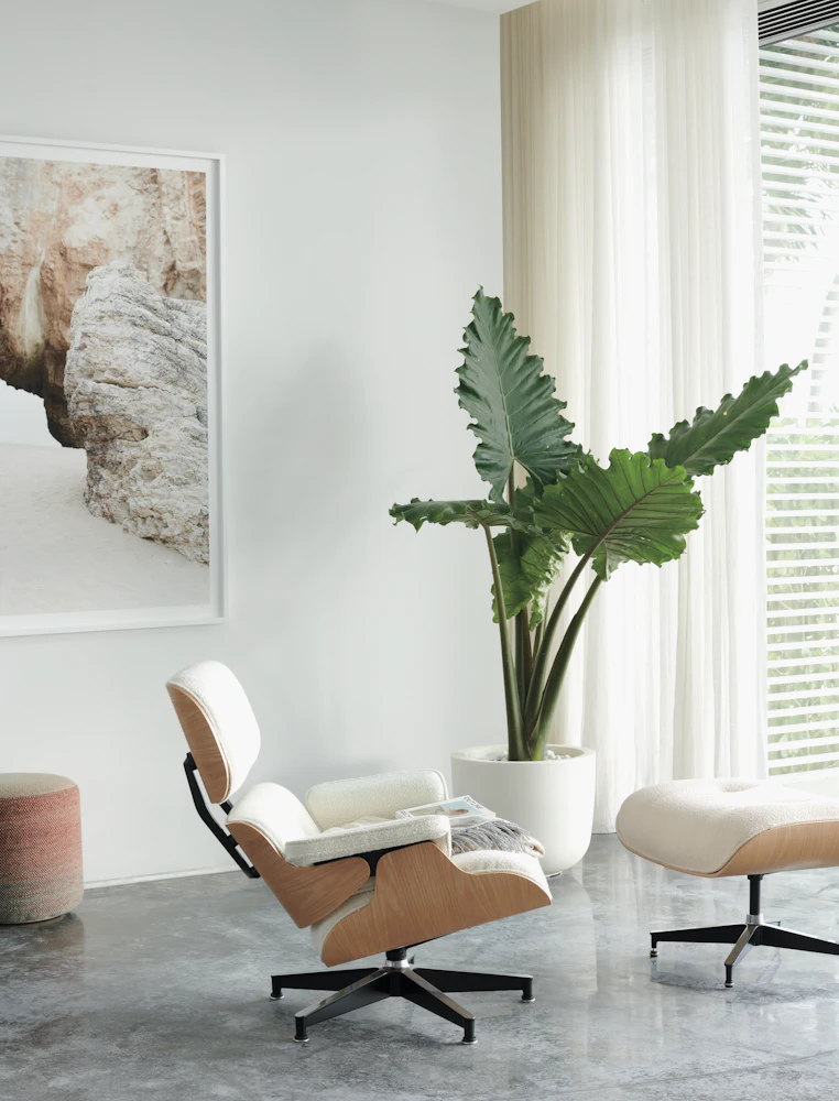 Eames Lounge Chair and Ottoman – Design Within Reach