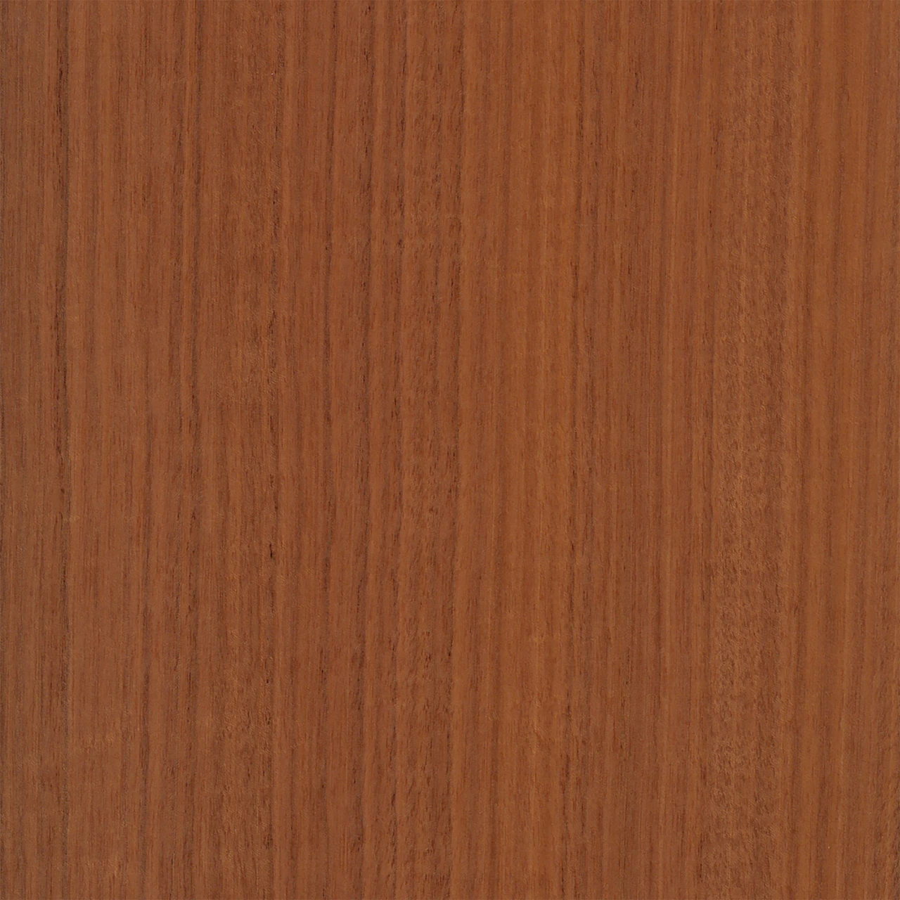 Natural Quarter Cut Makore