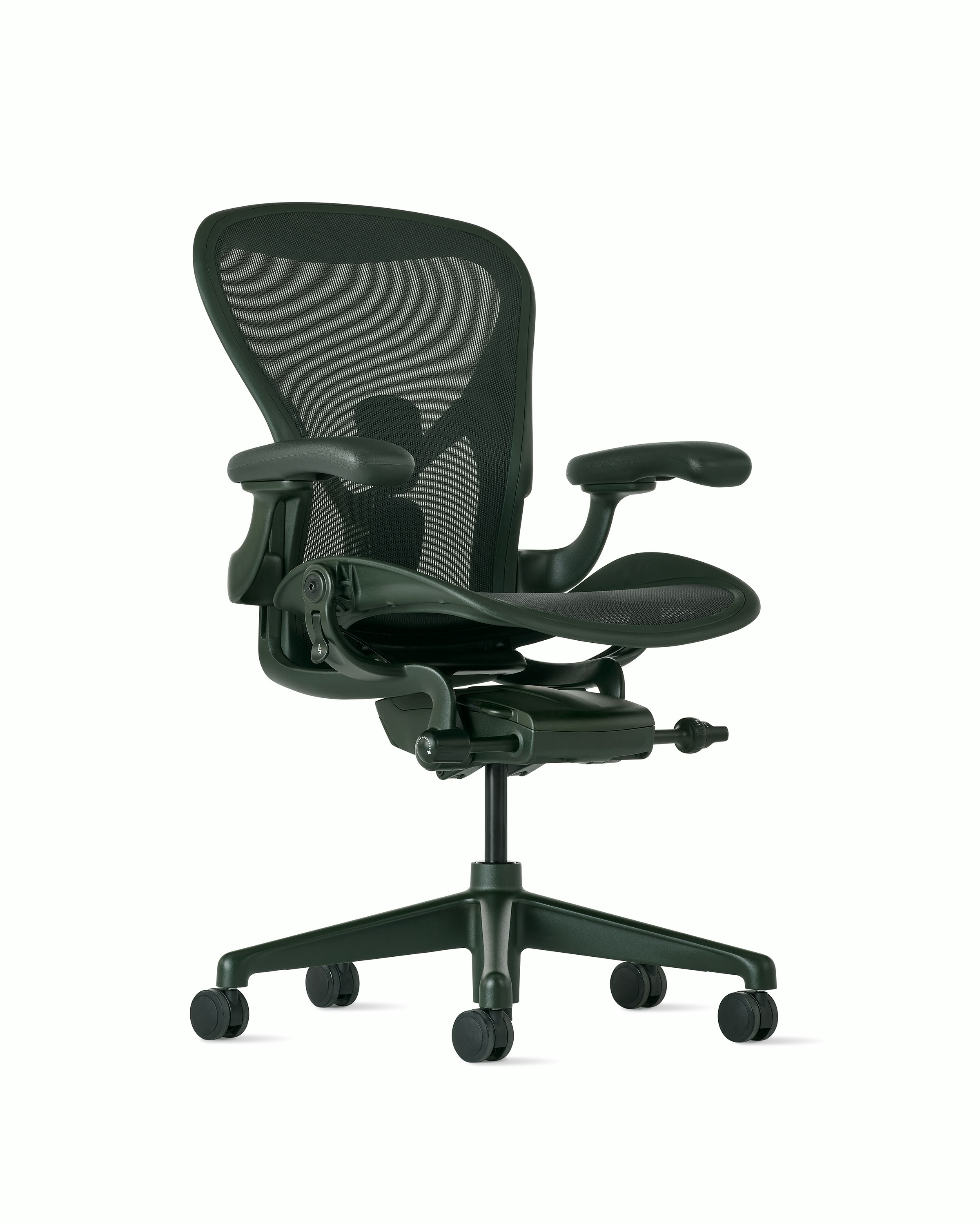 An Aeron Chair and Jasper viewed at an angle