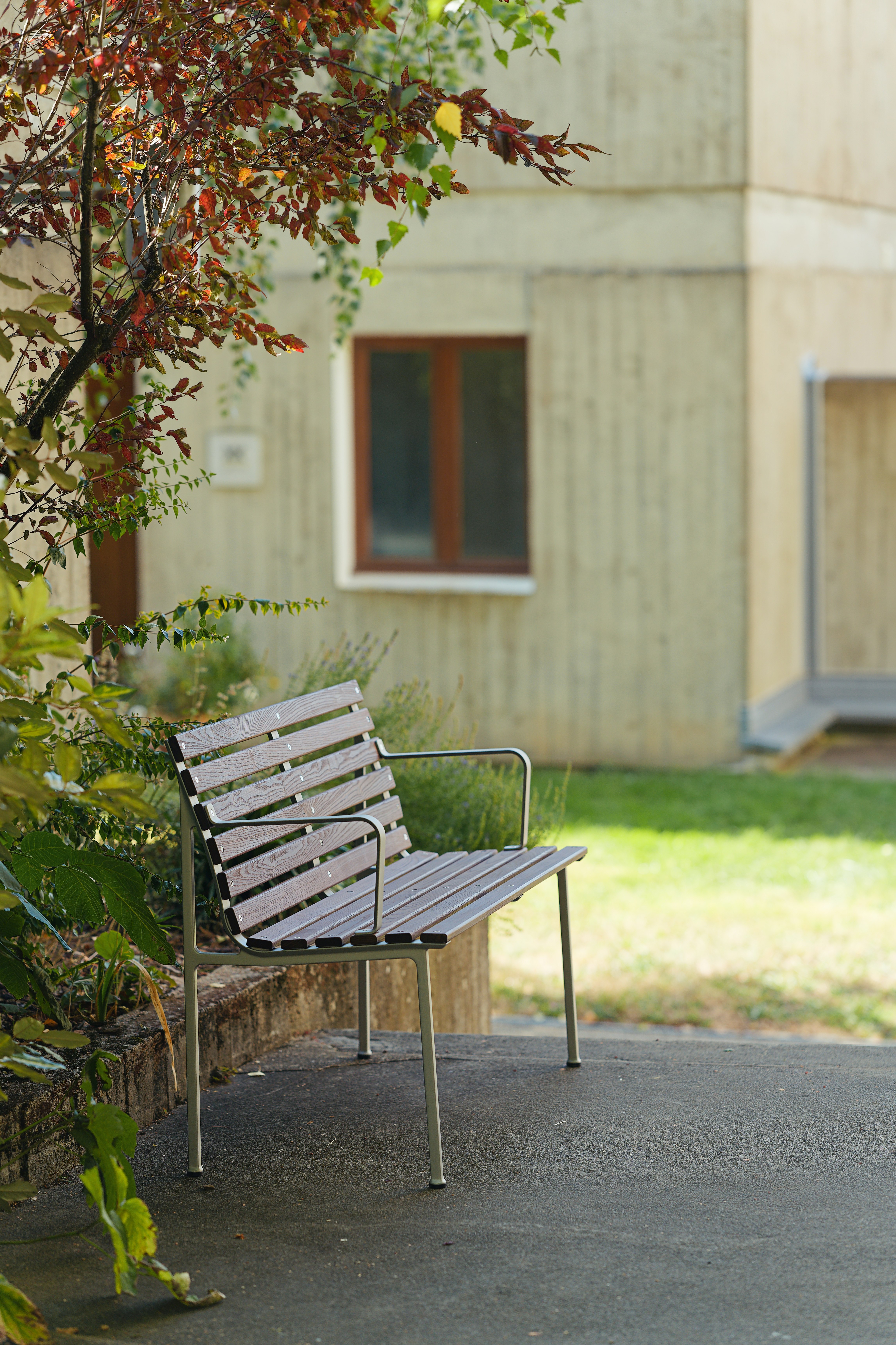 Traverse Dining Bench with Arms - Heat Treated Ash, Lacquered Aluminum Frame
