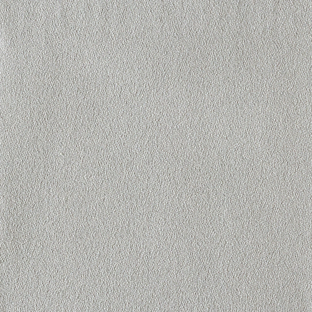 Saltbush