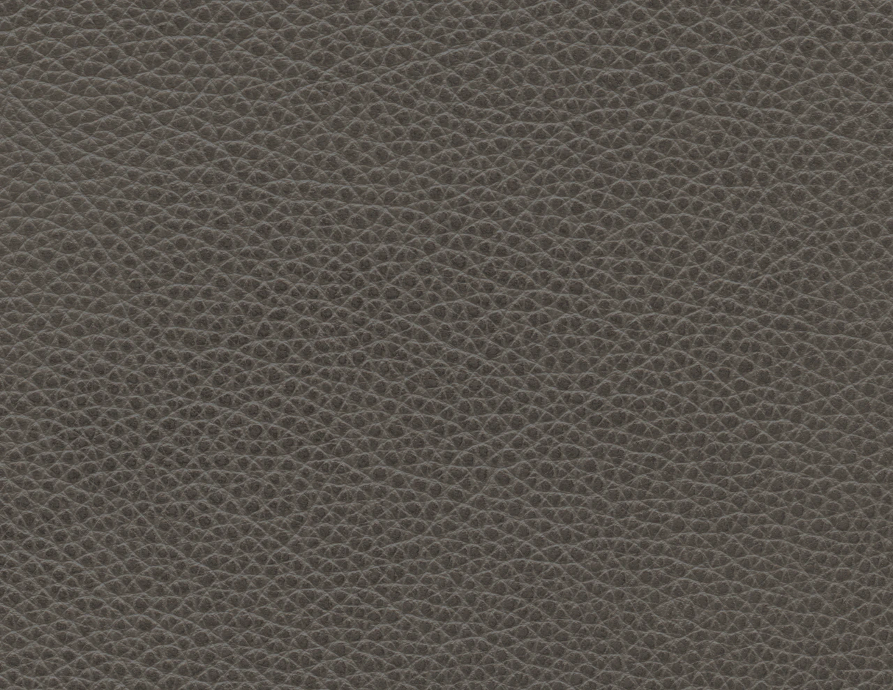 Misty Grotto