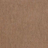 Vicuna