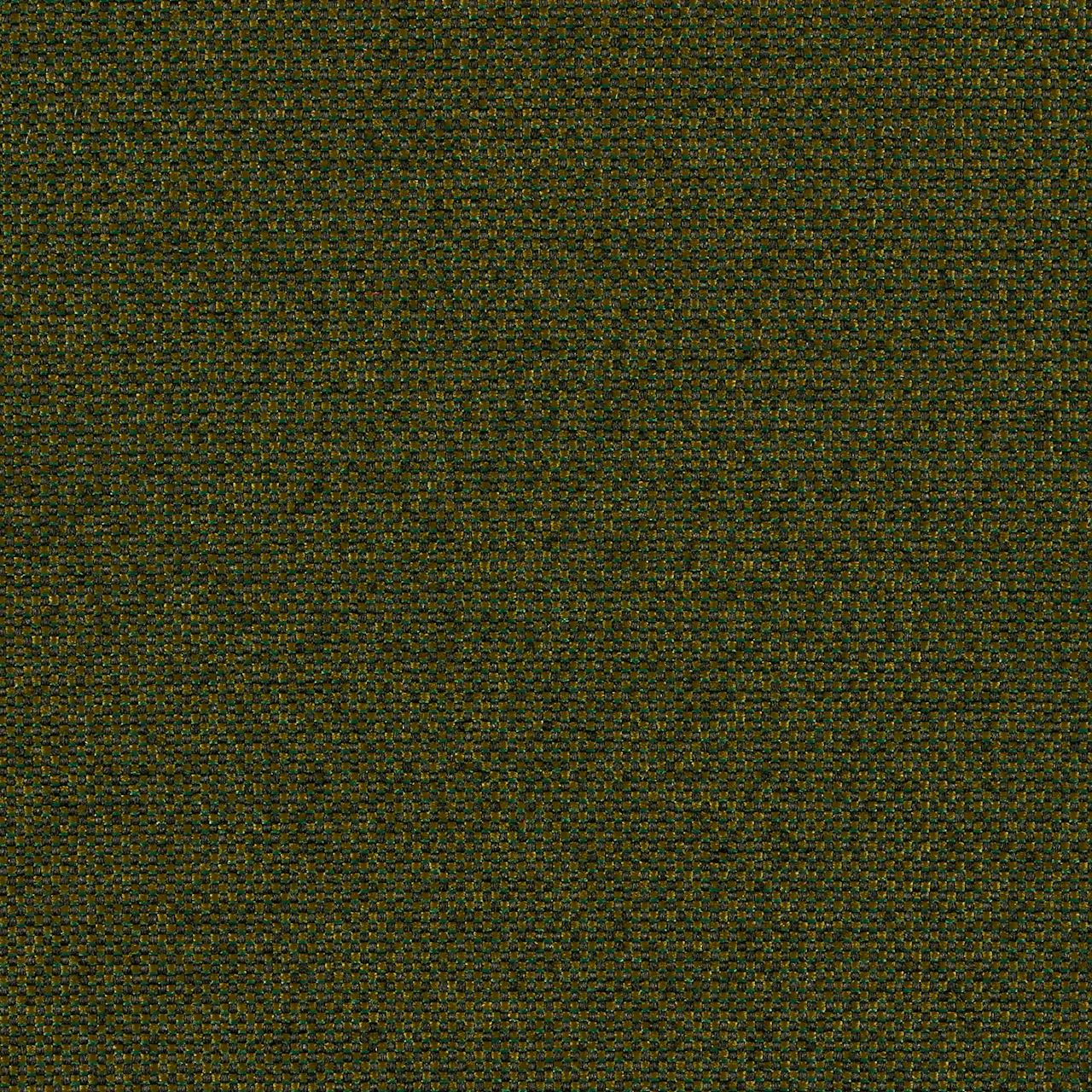 Loden