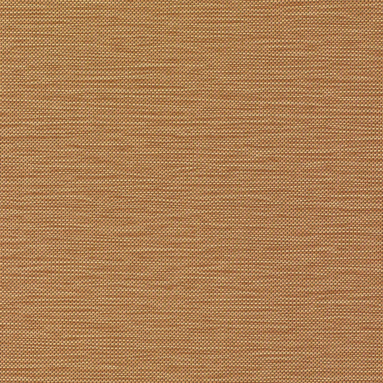 Butterscotch