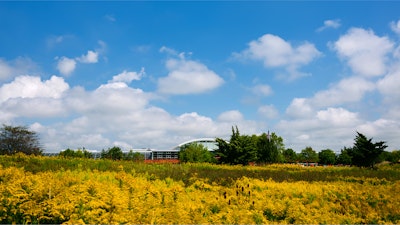 A field of blooming black-eyed Susans are seen in front of the MillerKnoll GreenHouse facility.