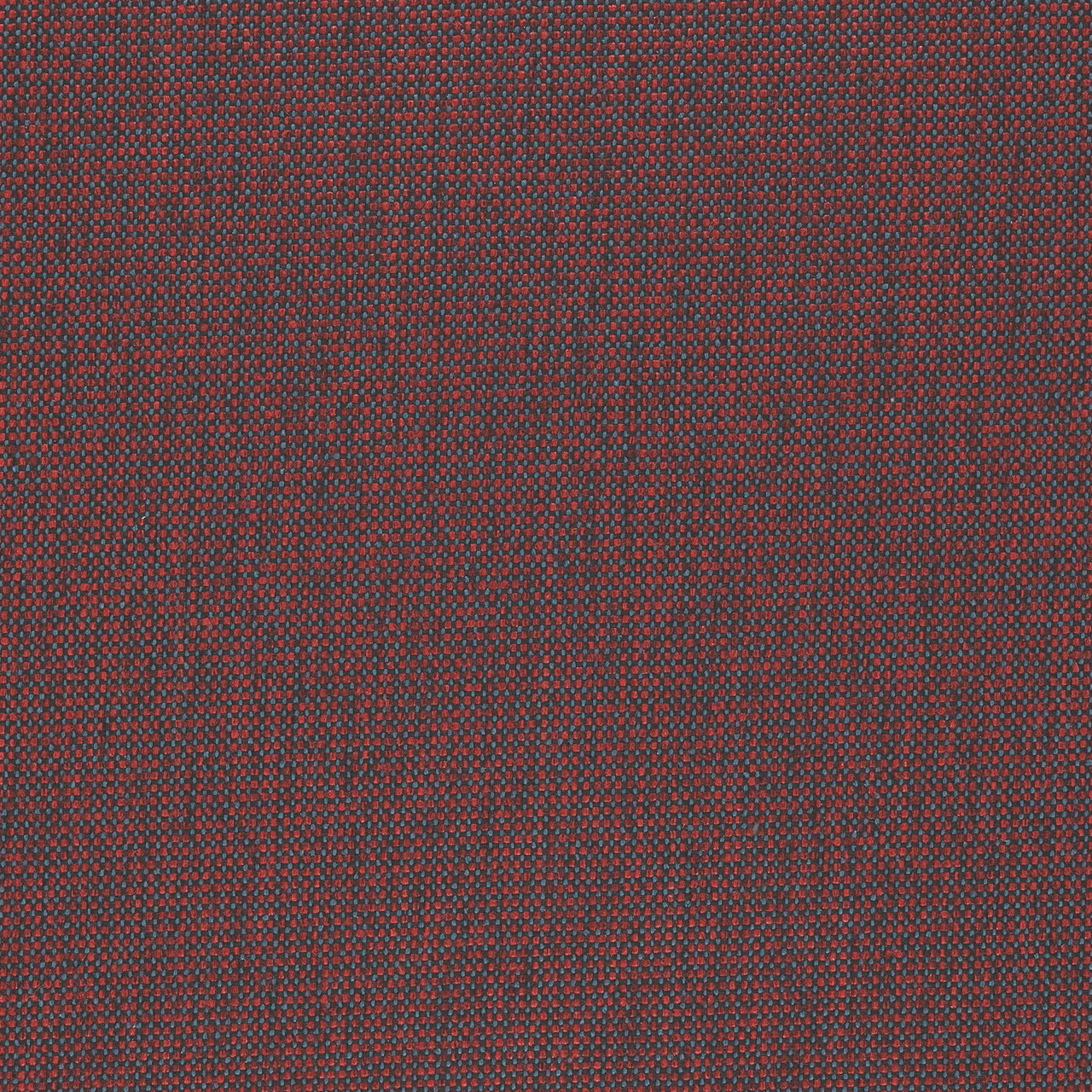 Red Sea