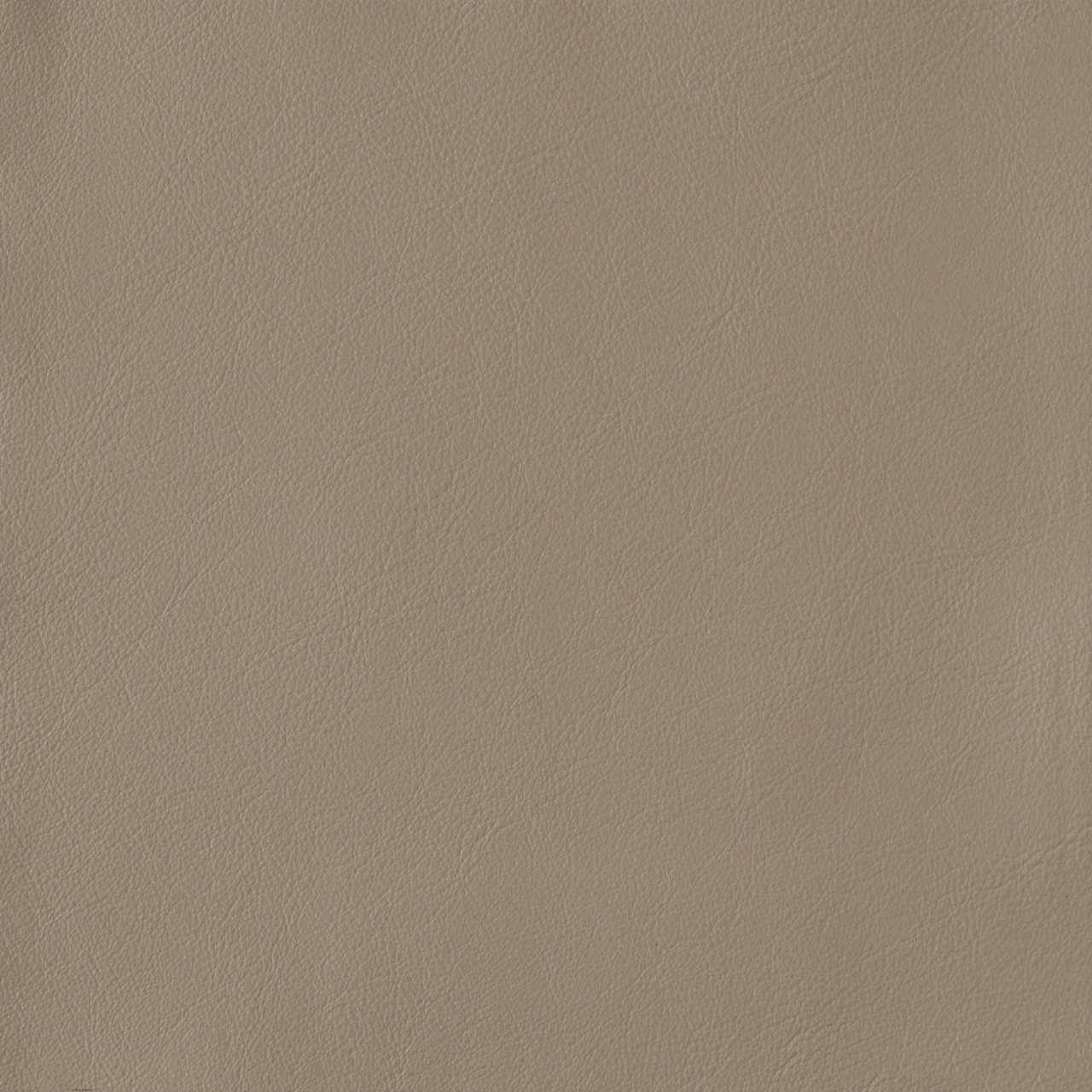 Ash Gray