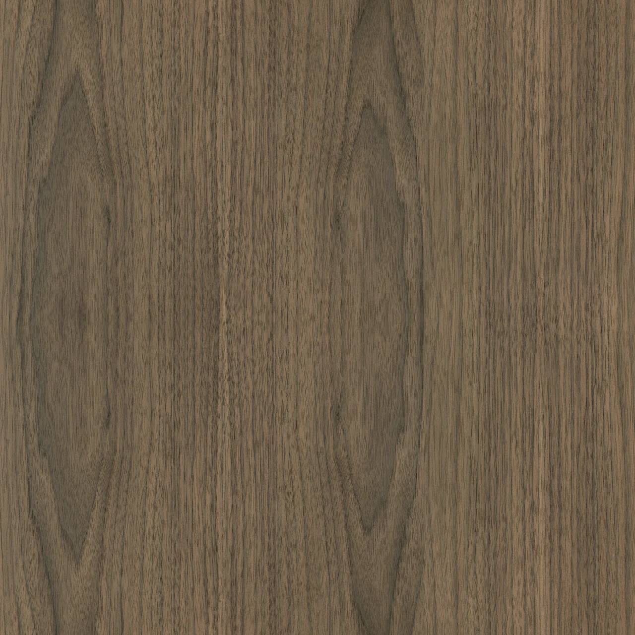Natural Flat Cut Walnut
