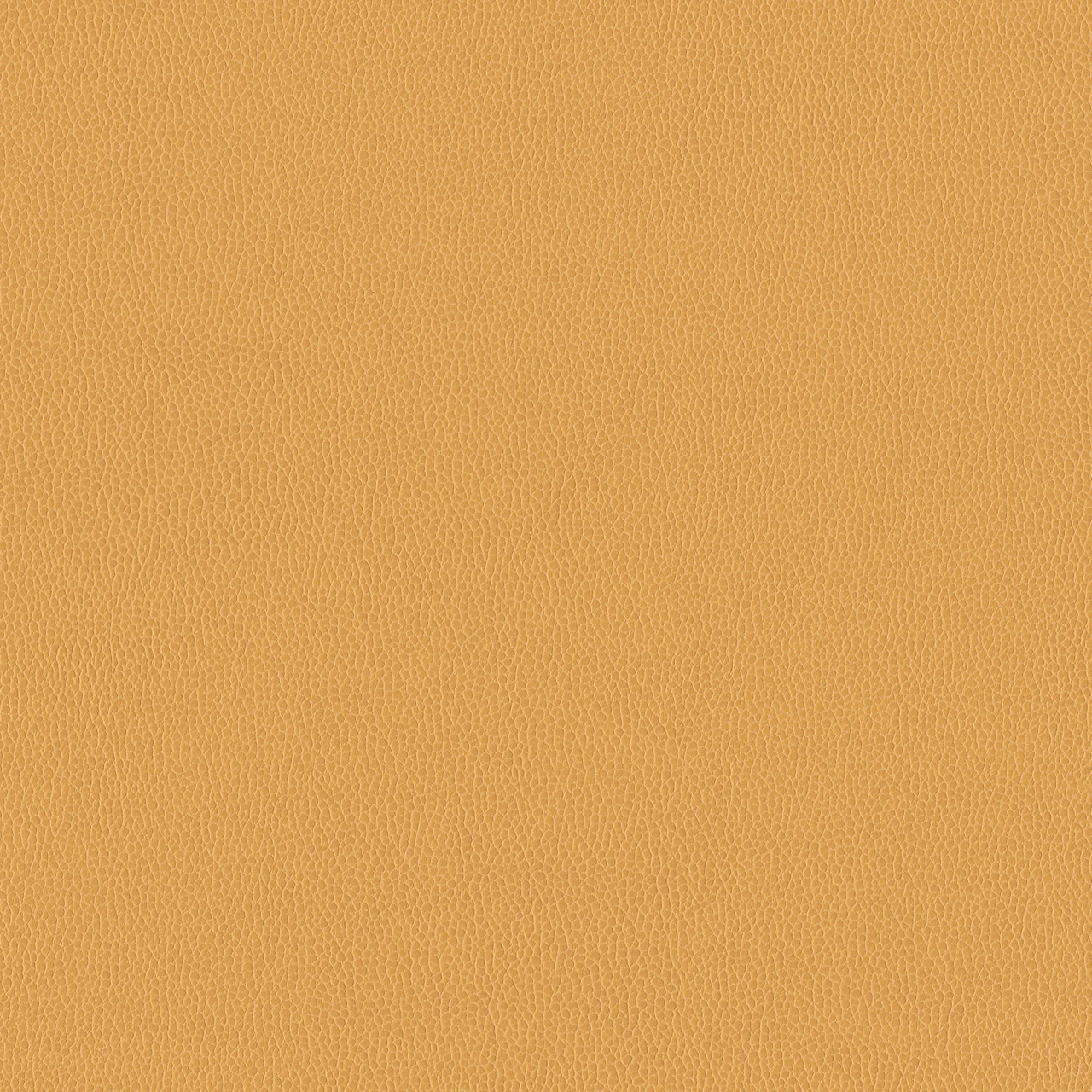 Marigold