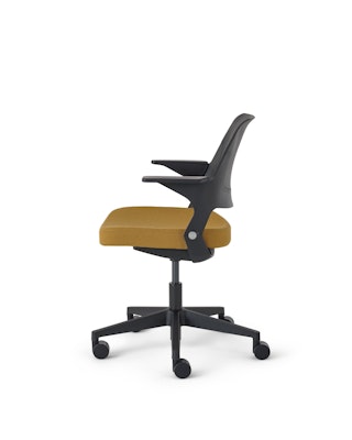 Ollo with Shell Back