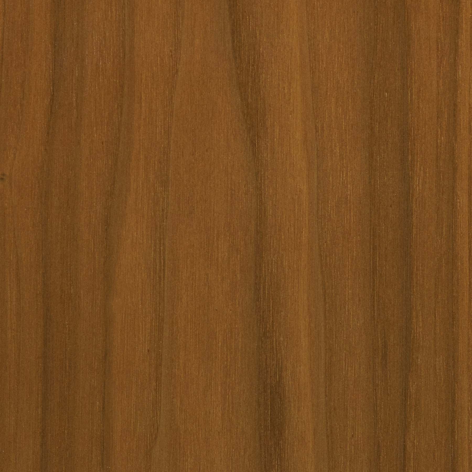 Medium Matte Walnut, EW
