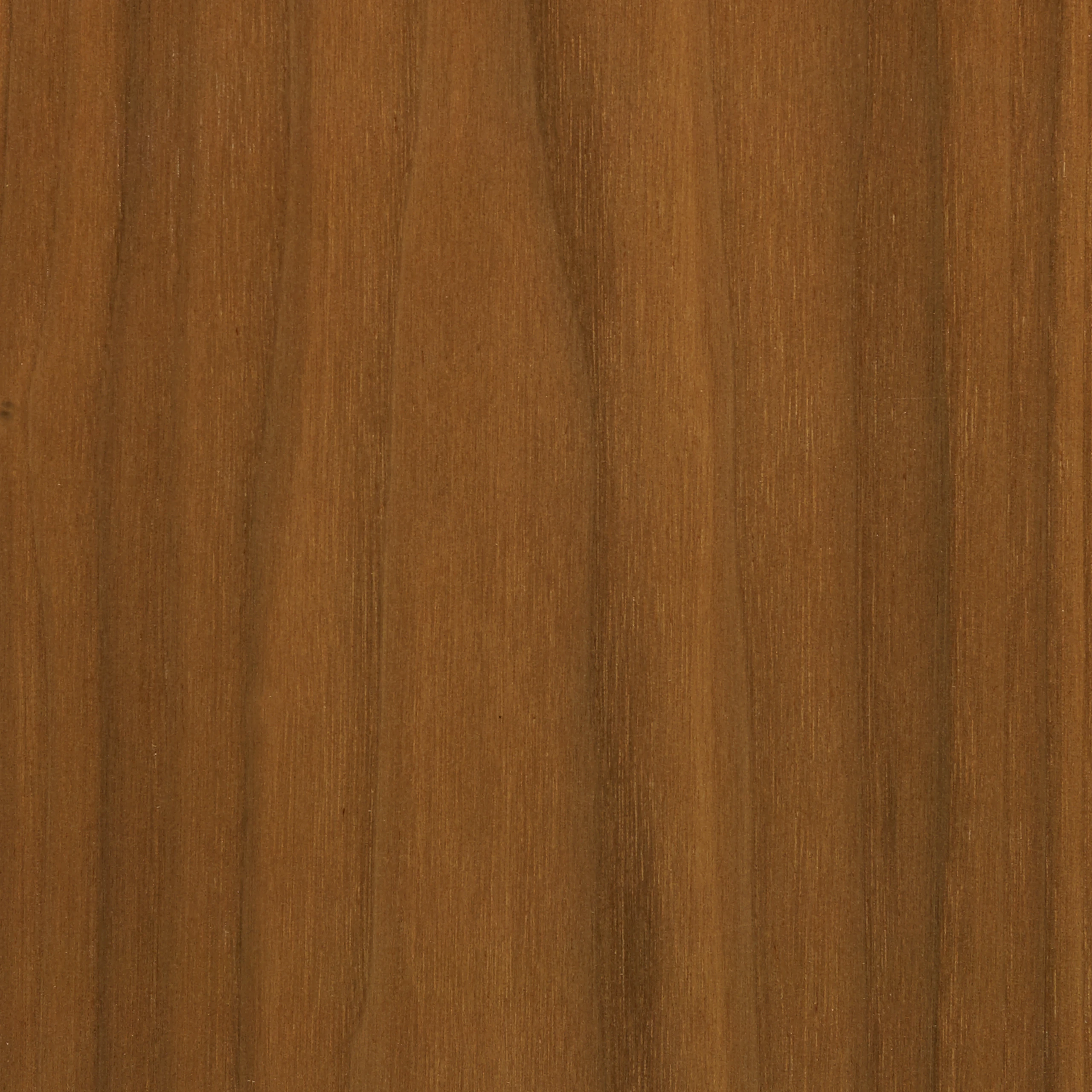 Medium Matte Walnut