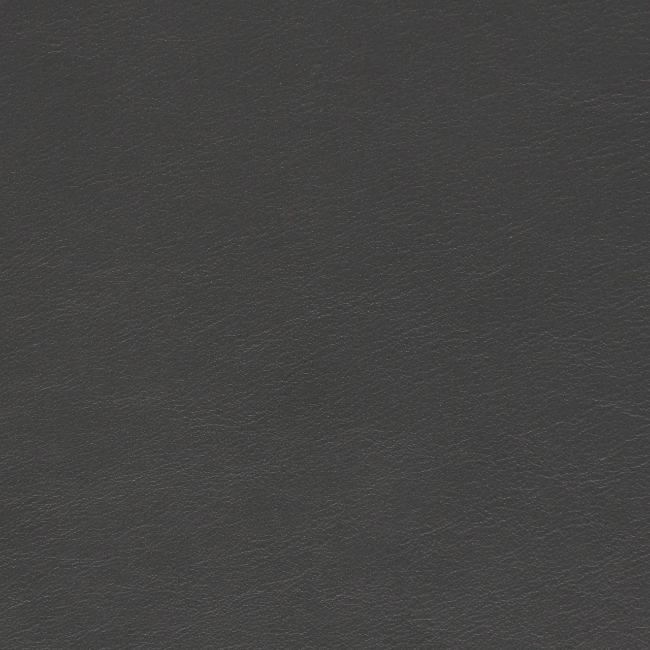 Dark Carbon