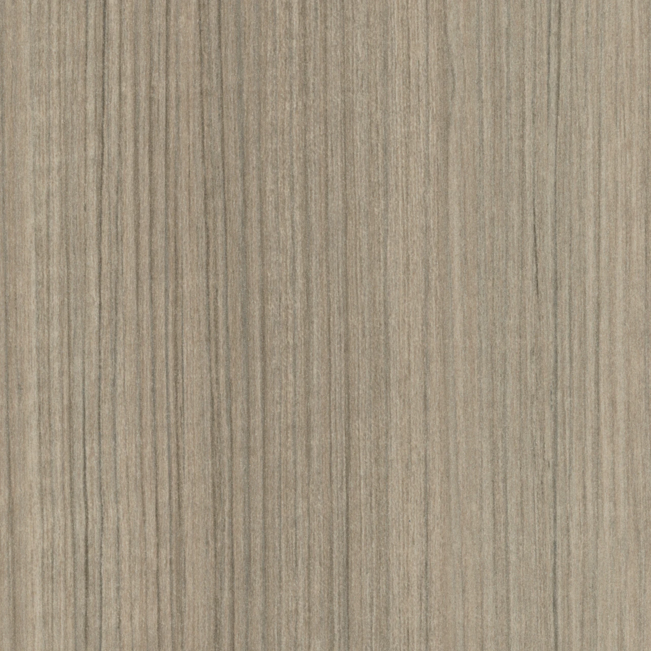 Warm Grey Teak
