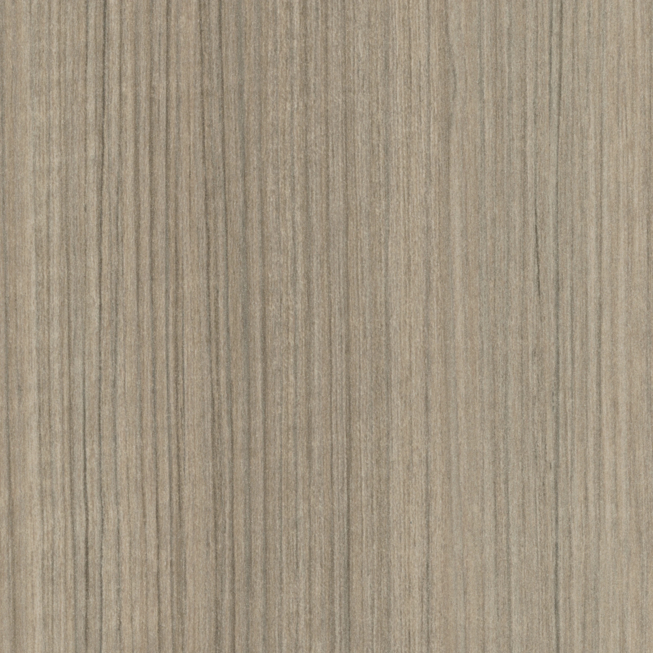 Warm Grey Teak