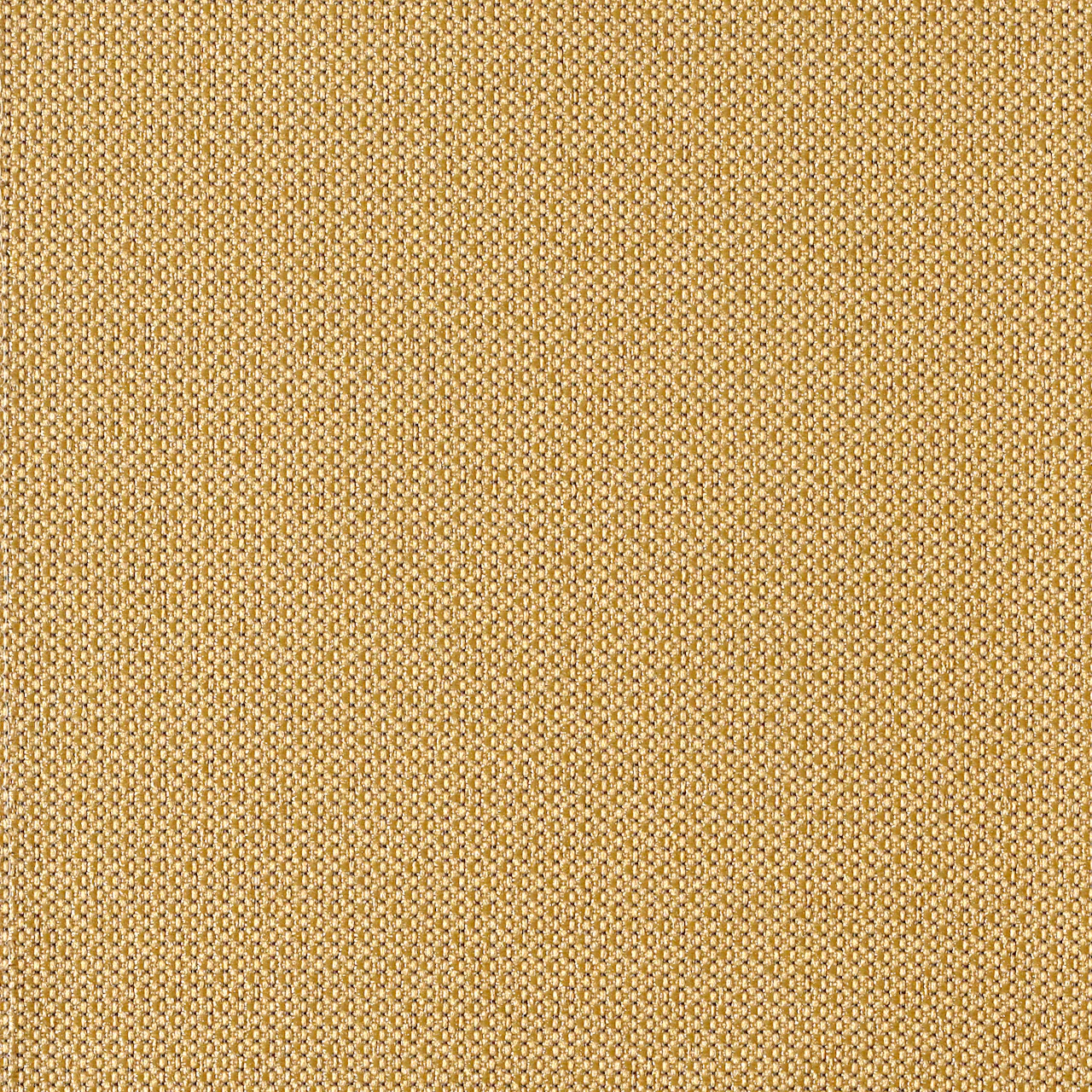 Sesame
