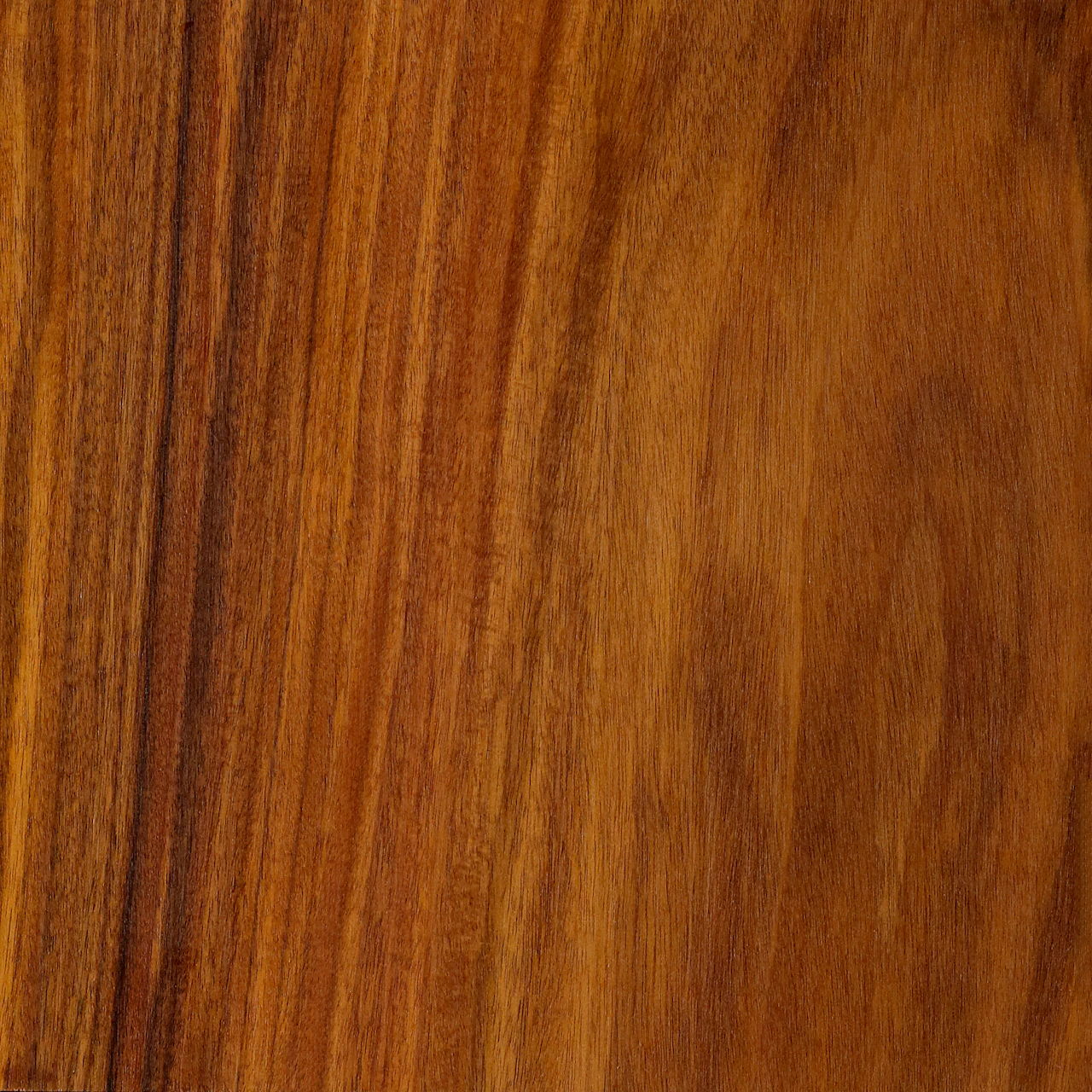 Oiled Santos Palisander