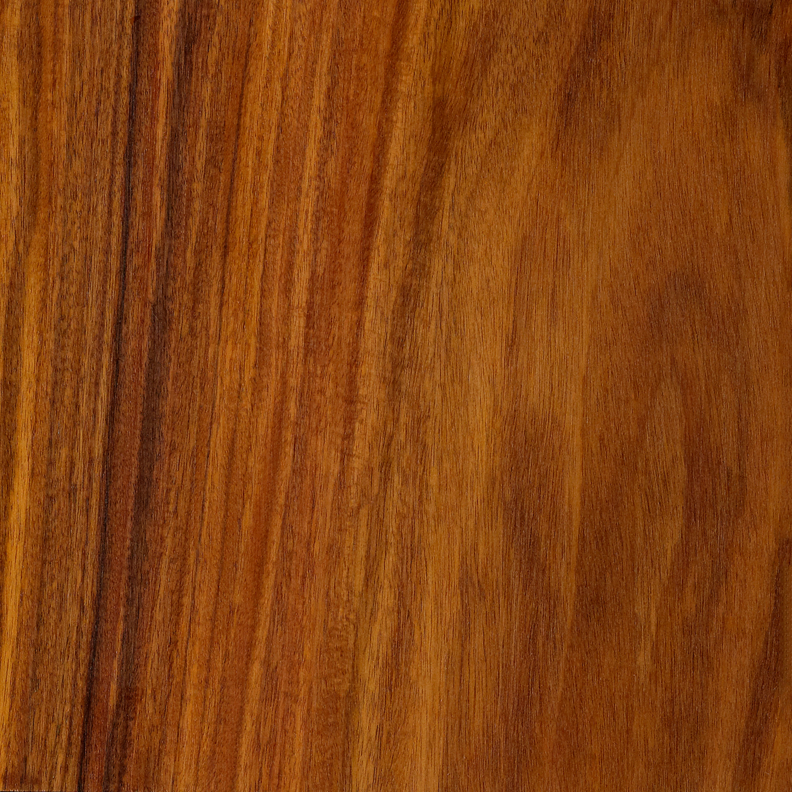 Oiled Santos Palisander