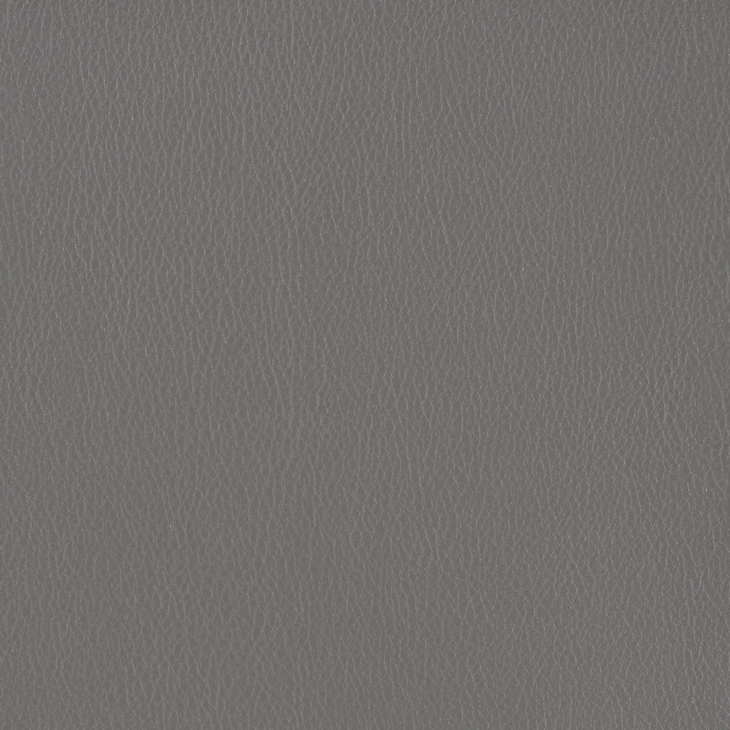 Slate Grey