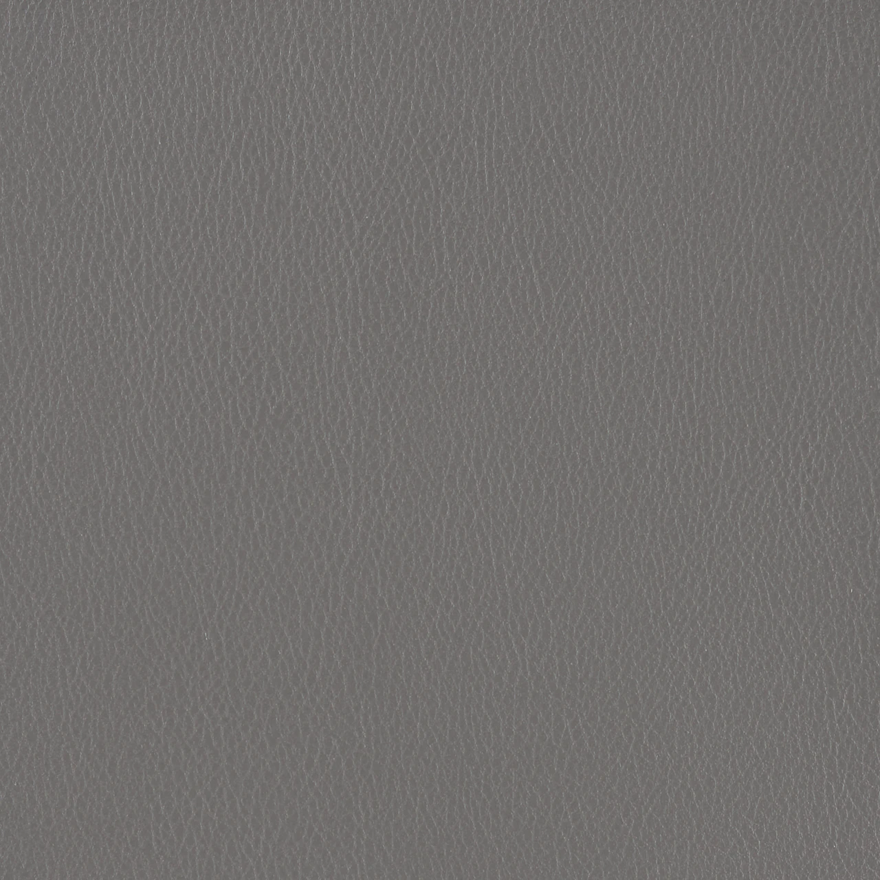 Slate Grey