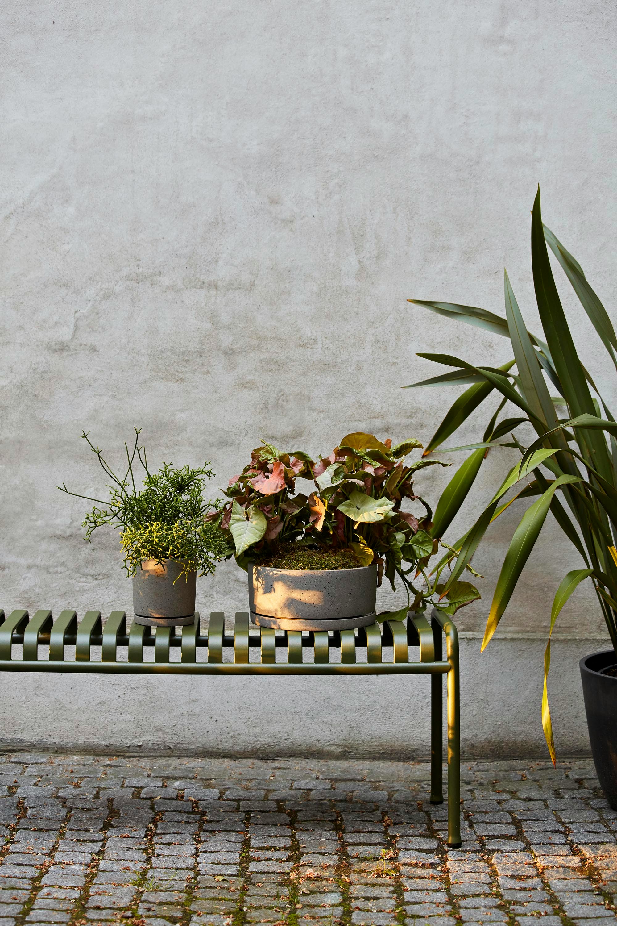 Palissade Bench
