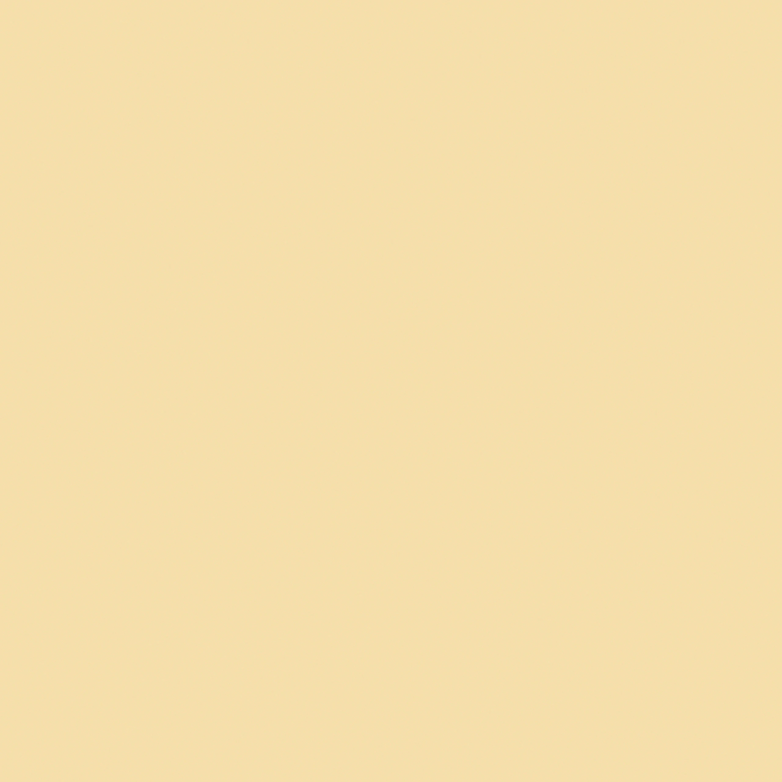 Powder Yellow - HM x HAY