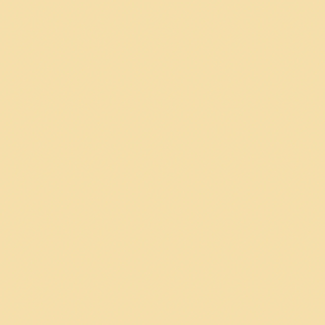 Powder Yellow - HM x HAY