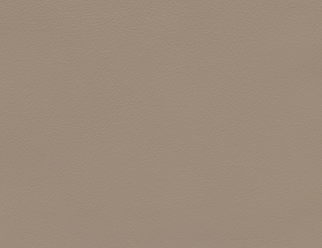 Prairie Falcon