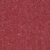 Seed