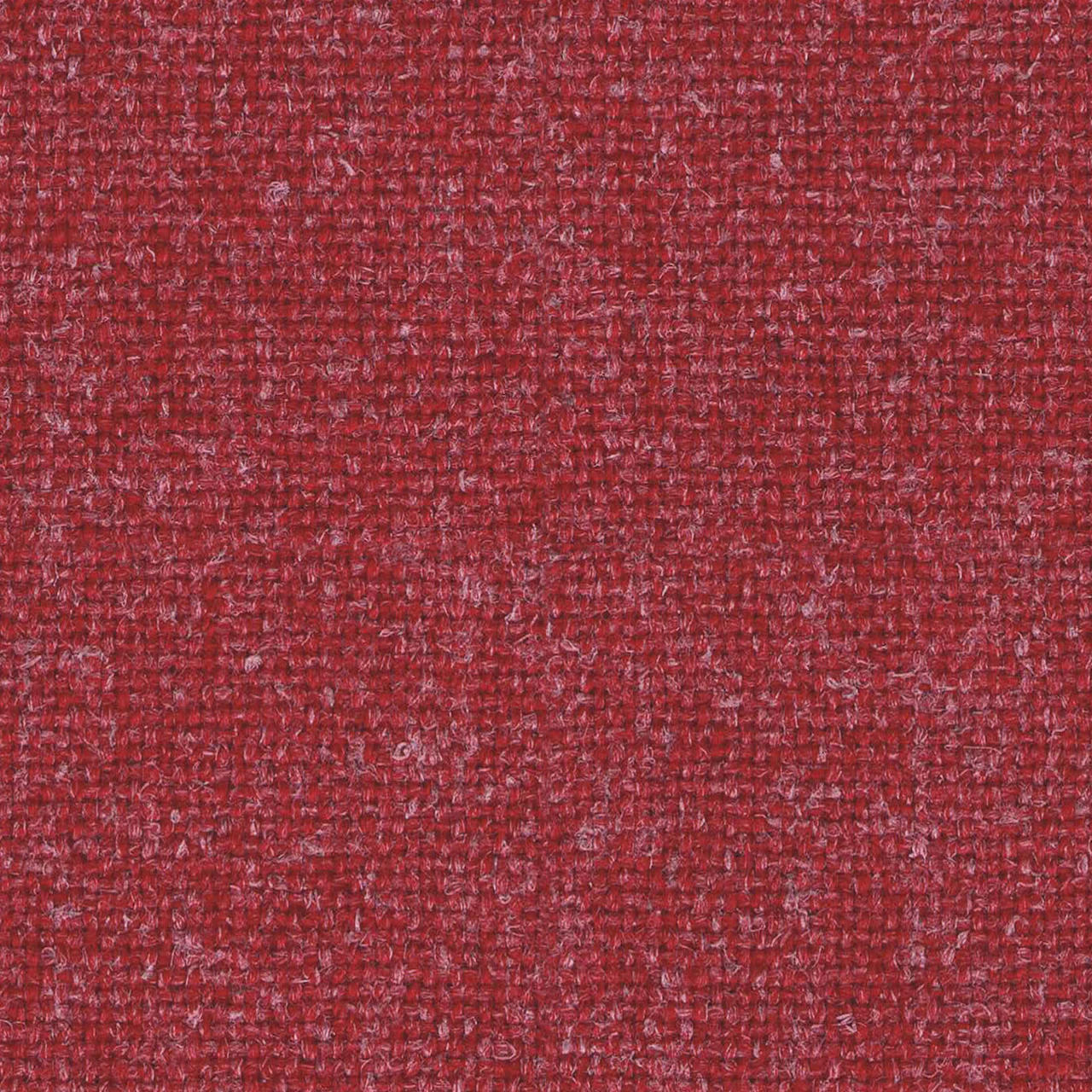 Seed
